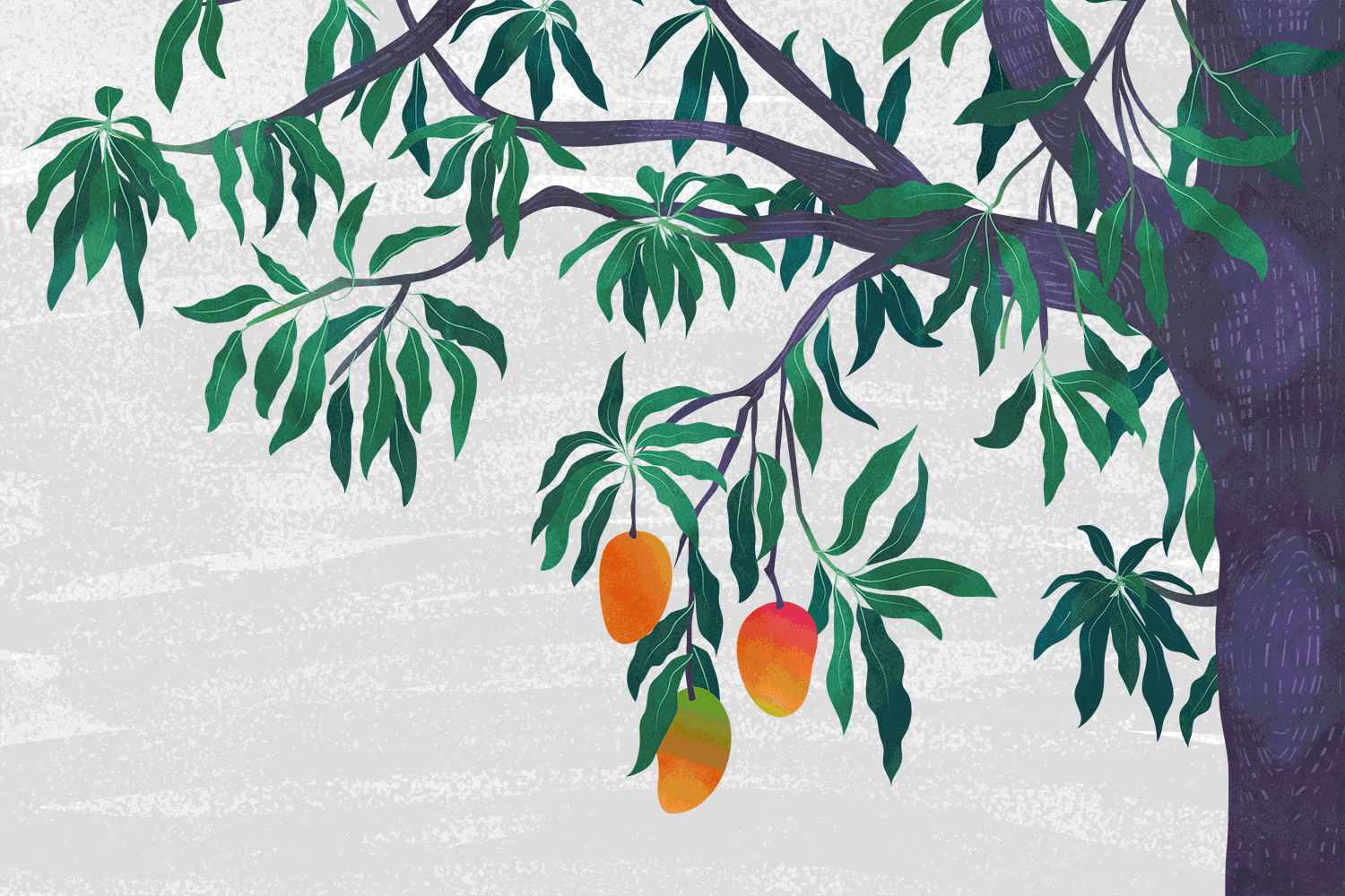 Implementing a Blockchain-Based Ecosystem for Mango Safety and Transparency in Bangladesh