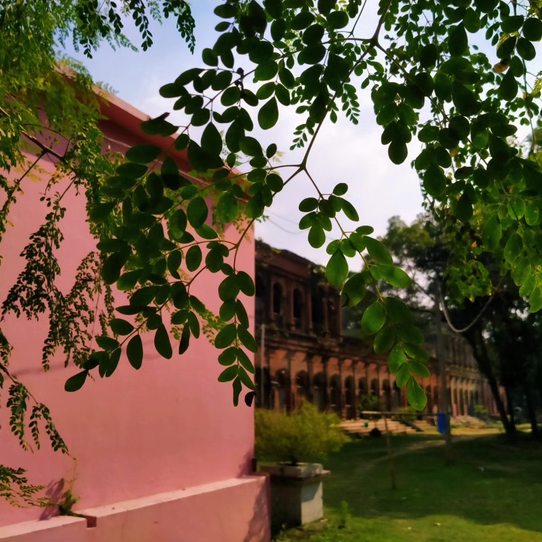 music gallery